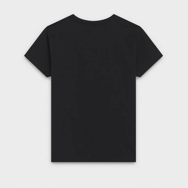 ★超人気 セリーヌ tシャツ 激安 偽物 クルーネック ロゴTシャツ 2色 2X308916G.38A