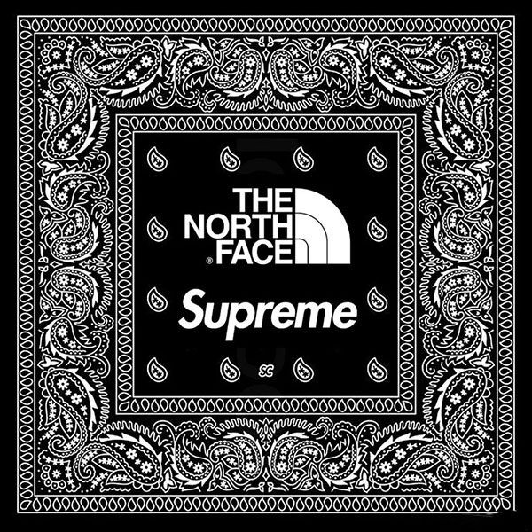 シュプリーム ノースフェイス