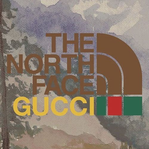 ノースフェイス グッチ