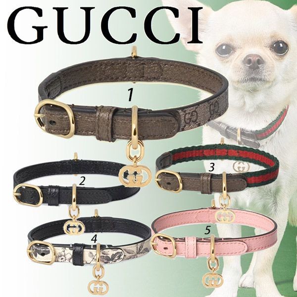 高級ブランドグッチ コピー エクストラスモールペットカラー 首輪 犬 猫 5色 692946UTVAG8742