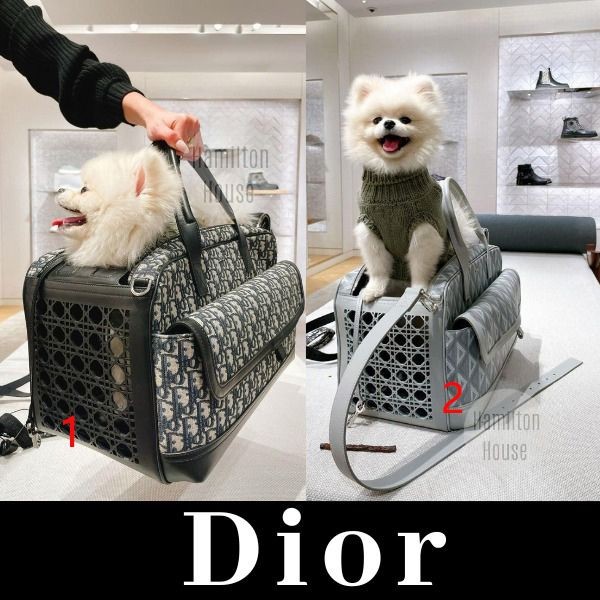 早い者勝ち♪ディオール HIT THE ROAD ペットキャリーバッグ コピー1ESDU035YKU