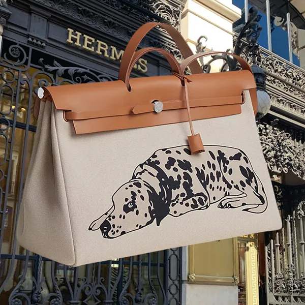 人気アイコンも注目★旅のパートナー★エルメス エールバッグ コピー ドッグデザイン 50cm★h259253